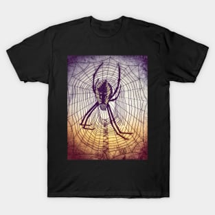 Spider Web in grunge T-Shirt